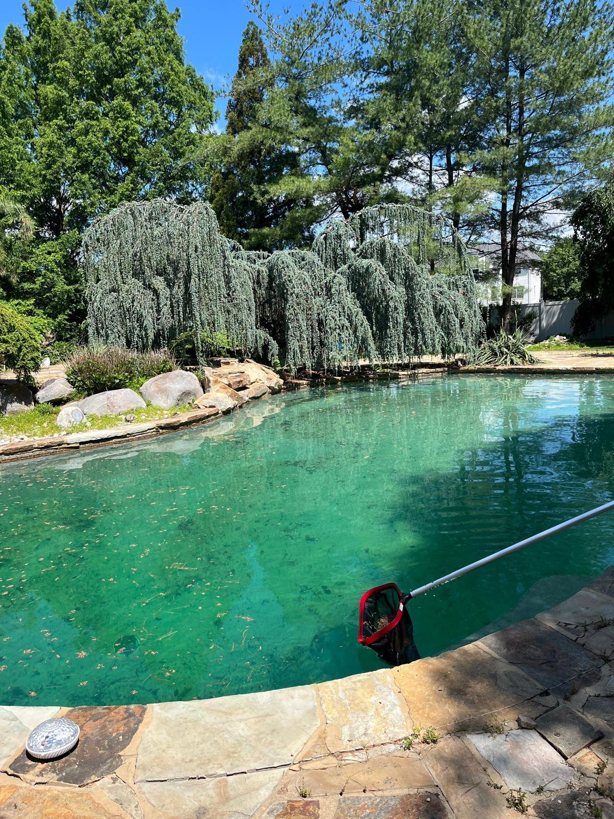 Aqua Plus Pool Care recent pool service result 4