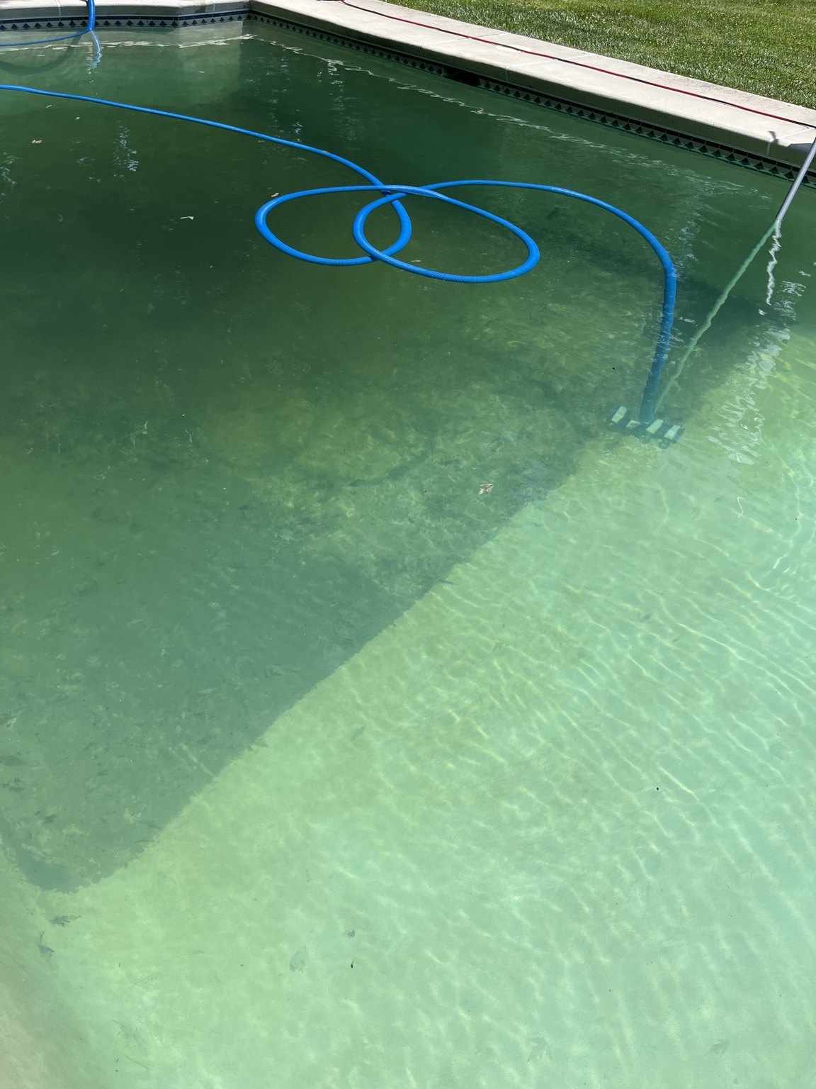 Aqua Plus Pool Care professional pool service work 15