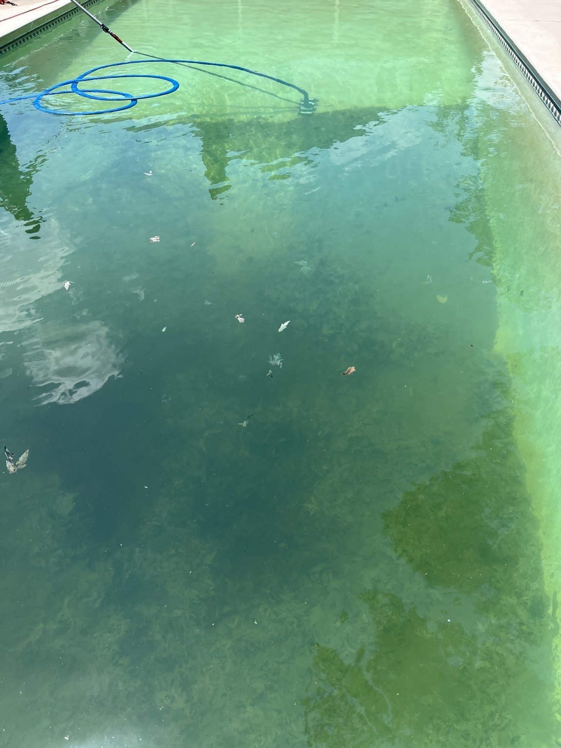 Aqua Plus Pool Care professional pool service work 16